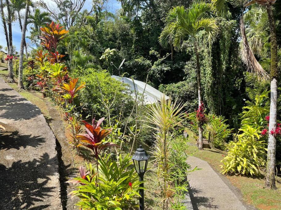 Jardin Secret Villa Petit-Bourg Exteriör bild
